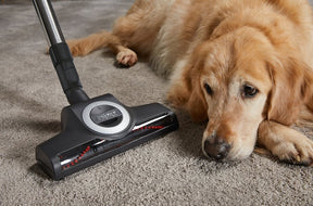 Miele Boost CX1 Cat & Dog Hoover Vacuum - Obsidian Black  || 11666830